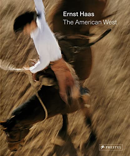Book cover: blurred action shot of a rodeo cowboy on a horse.