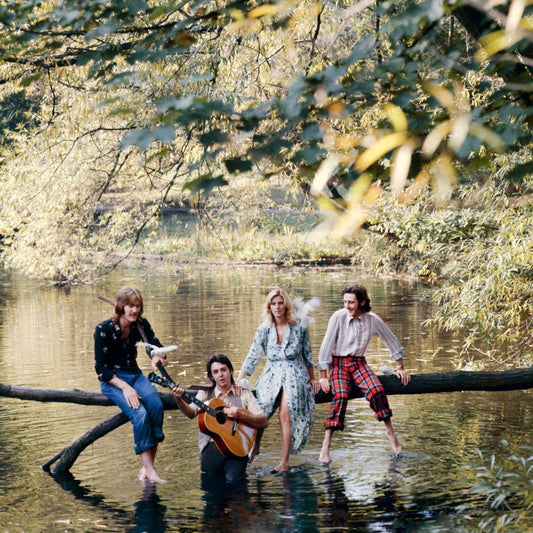 Paul McCartney and Wings posing on a log in a lake.