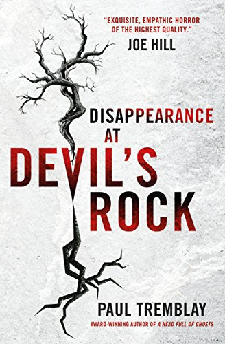 Book cover: "Disappearance at Devil's Rock" with a stark, cracked rock image.