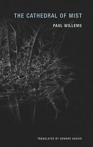 Book cover: dark background with abstract, swirling white lines.