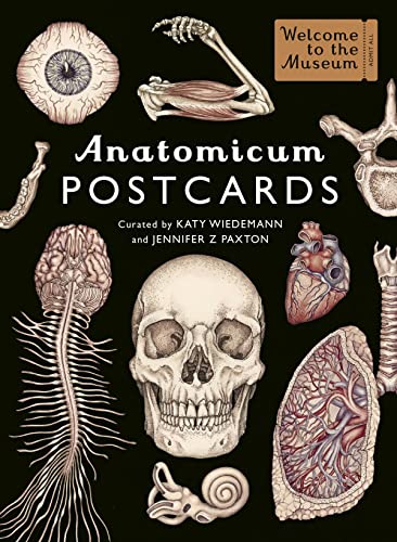 Vintage anatomical illustrations on a postcard box titled "Anatomicum Postcards.