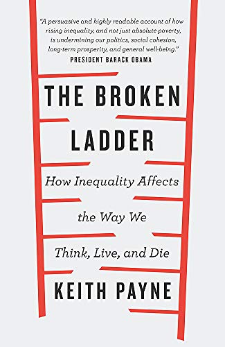Book cover with a red ladder design and white text: “The Broken Ladder.”