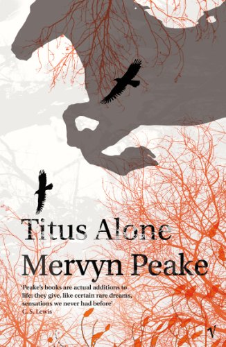 Book cover: shadowy figure, birds, and tangled branches in orange and grey.
