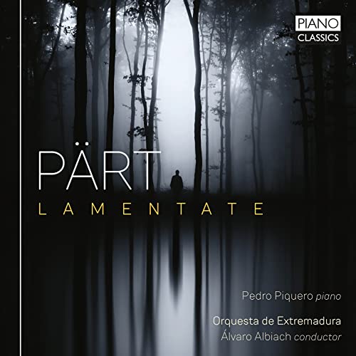 A lone figure stands in a misty forest reflected in dark water, album cover art.
