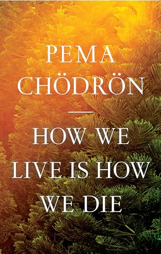 Book cover with white text over a gradient of orange and green pine needles.