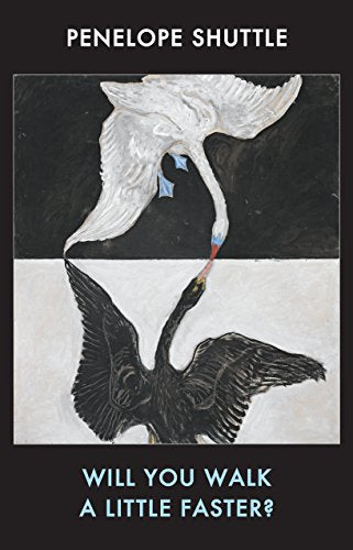 Book cover with a painting of a black and white swan facing each other.