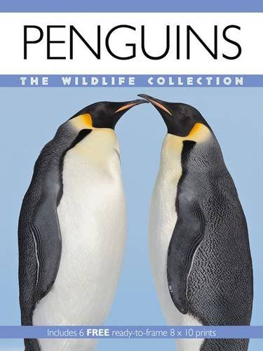 Book cover featuring two emperor penguins against a blue background.