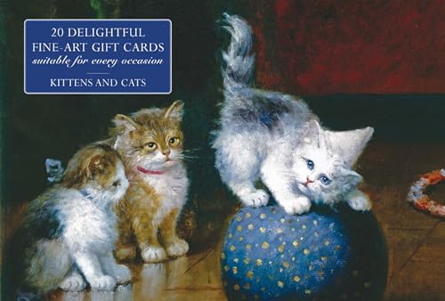 Notecard box featuring three fluffy kittens playing with a blue ball.