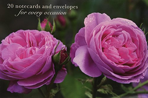 Pink rose notecard set with water droplets on the blooms.