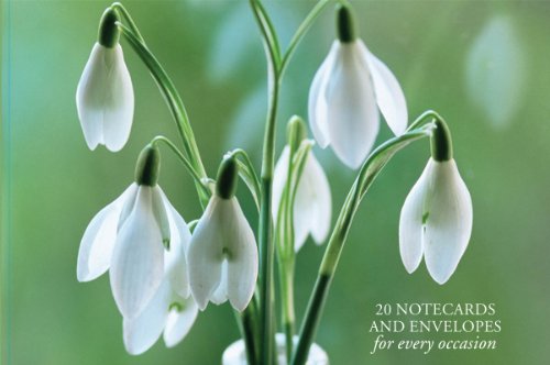 Close-up of white snowdrop flowers on green stems, soft focus.