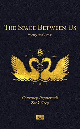 Book cover: gold wings and globe design on dark textured background.