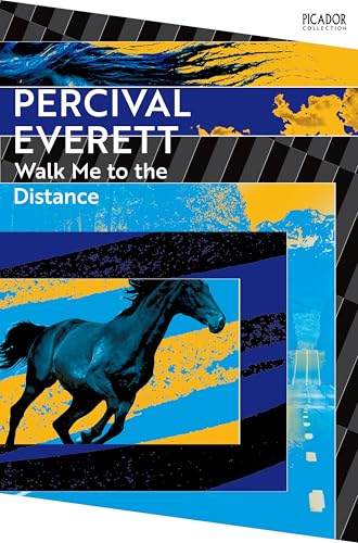 Book cover featuring a running horse against a blue and yellow abstract background.