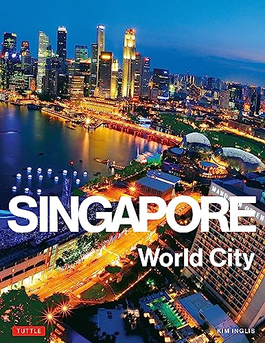 Book cover depicting a nighttime cityscape of Singapore with bright lights.