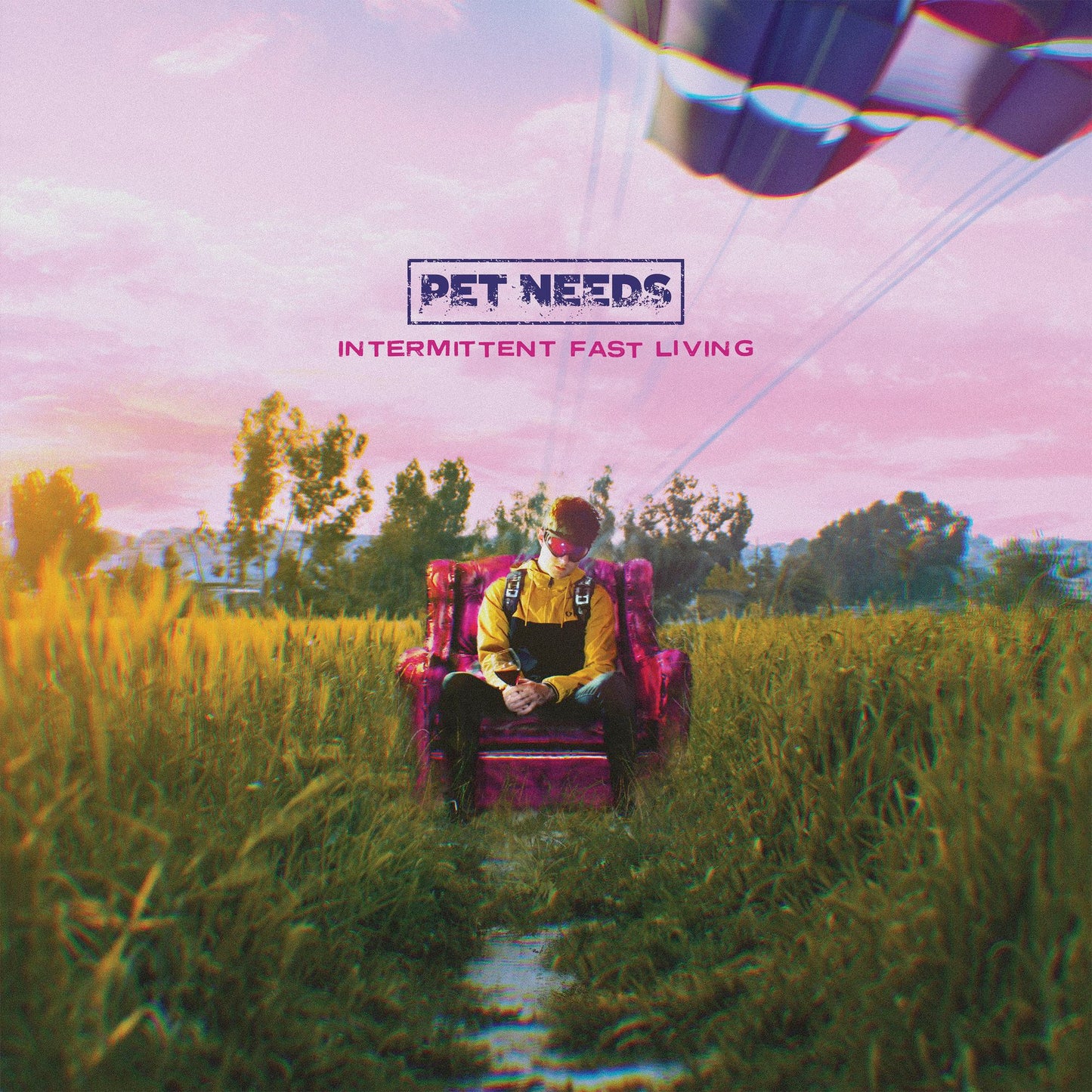 Album cover: person in chair in a field, text "Pet Needs".