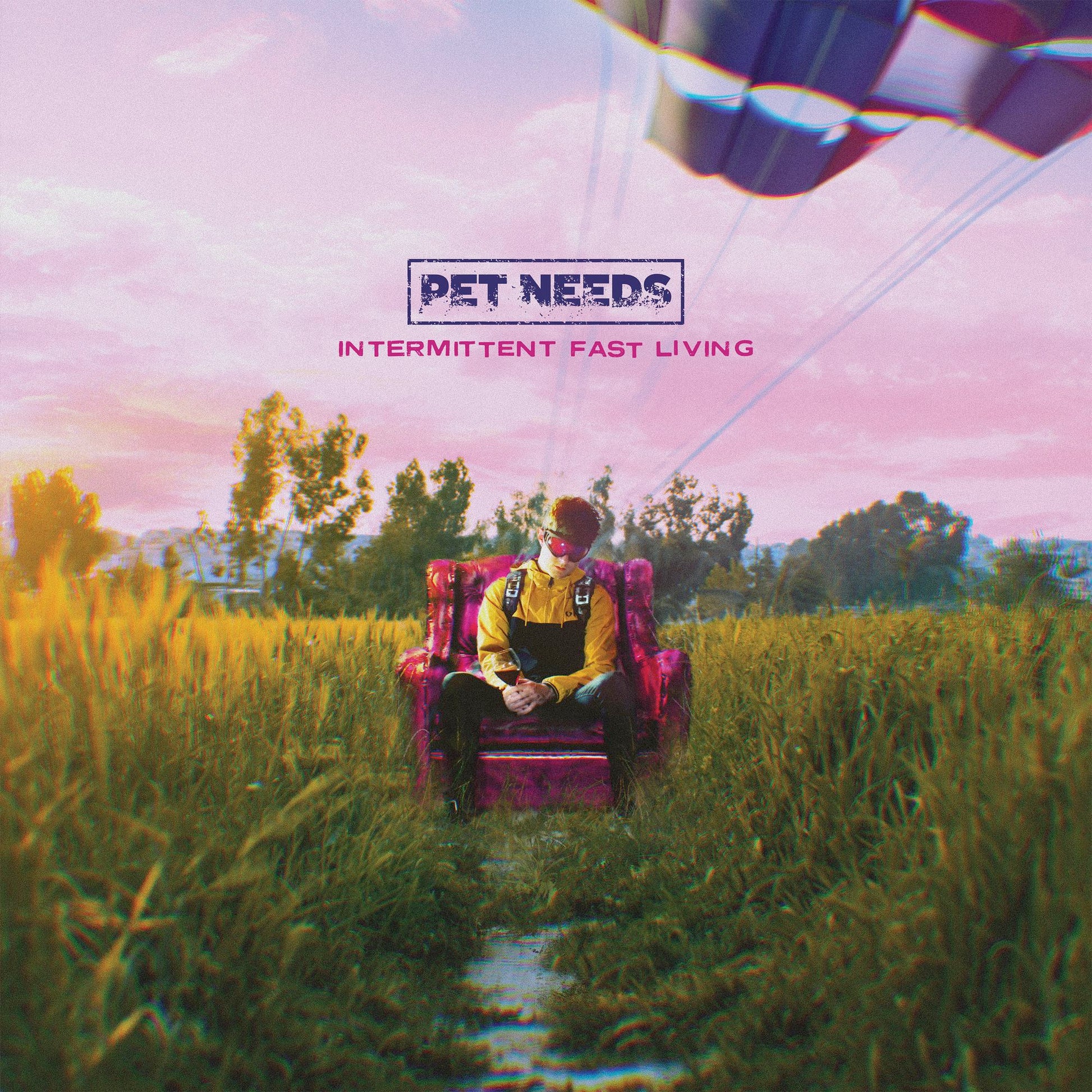 Album cover: person in chair in a field, text "Pet Needs".