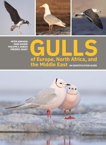 Book cover featuring various gull species in flight and standing, with large yellow text.