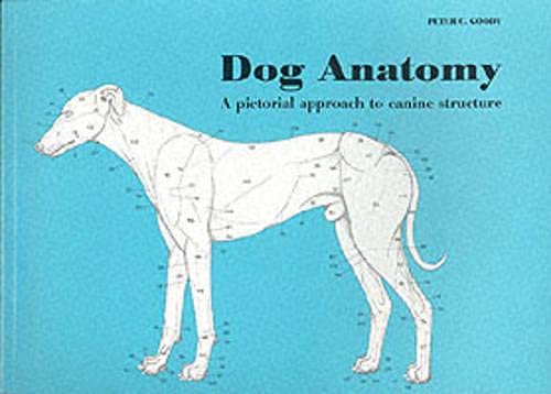 Book cover: “Dog Anatomy” showing a skeletal canine illustration.