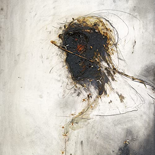 Abstract portrait of a face with textured brushstrokes and insect imagery.