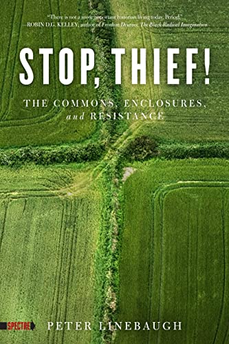 Book cover titled Stop, Thief! featuring an aerial view of green agricultural fields.