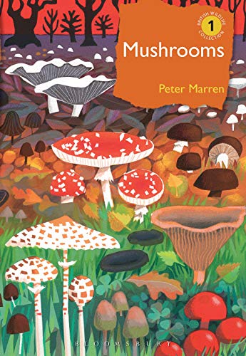 Book cover depicting colorful illustrations of various British mushrooms.