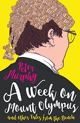 Book cover featuring a person wearing a wig made of wooden gavels.