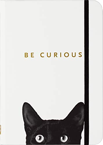 White journal with the text BE CURIOUS and a black cat peering from bottom.