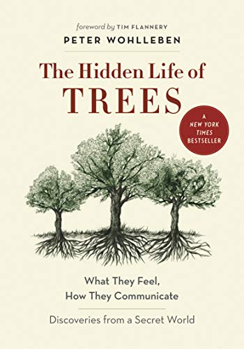 Book cover for The Hidden Life of Trees with an illustration of three trees.