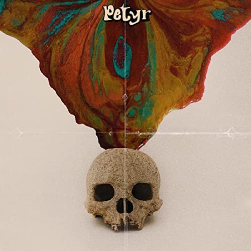 CD cover with abstract paint swirl and a human skull image.
