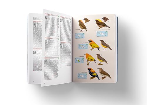 Open book displaying colorful illustrations and text about New Guinea birds.