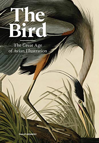 Book cover featuring detailed illustrations of two wading birds.