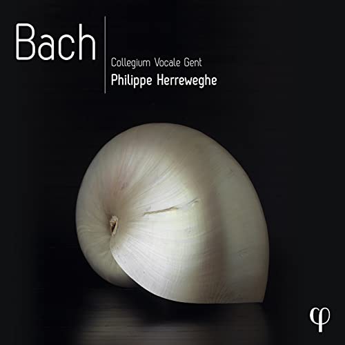 CD cover featuring a white seashell against a black background with white text.