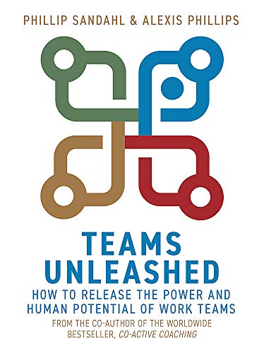 Book cover with abstract connected figures and bold title "Teams Unleashed".
