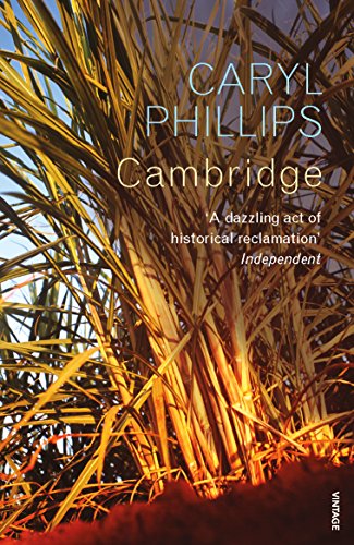 Book cover for “Cambridge” by Caryl Phillips with golden sugarcane stalks.