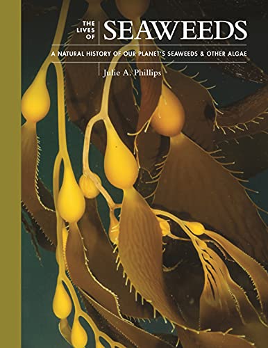 Book cover featuring golden seaweed against a dark, textured background.