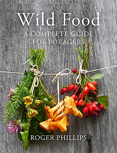 Book cover showing bundles of wild plants, berries, and mushrooms hanging against wooden boards.