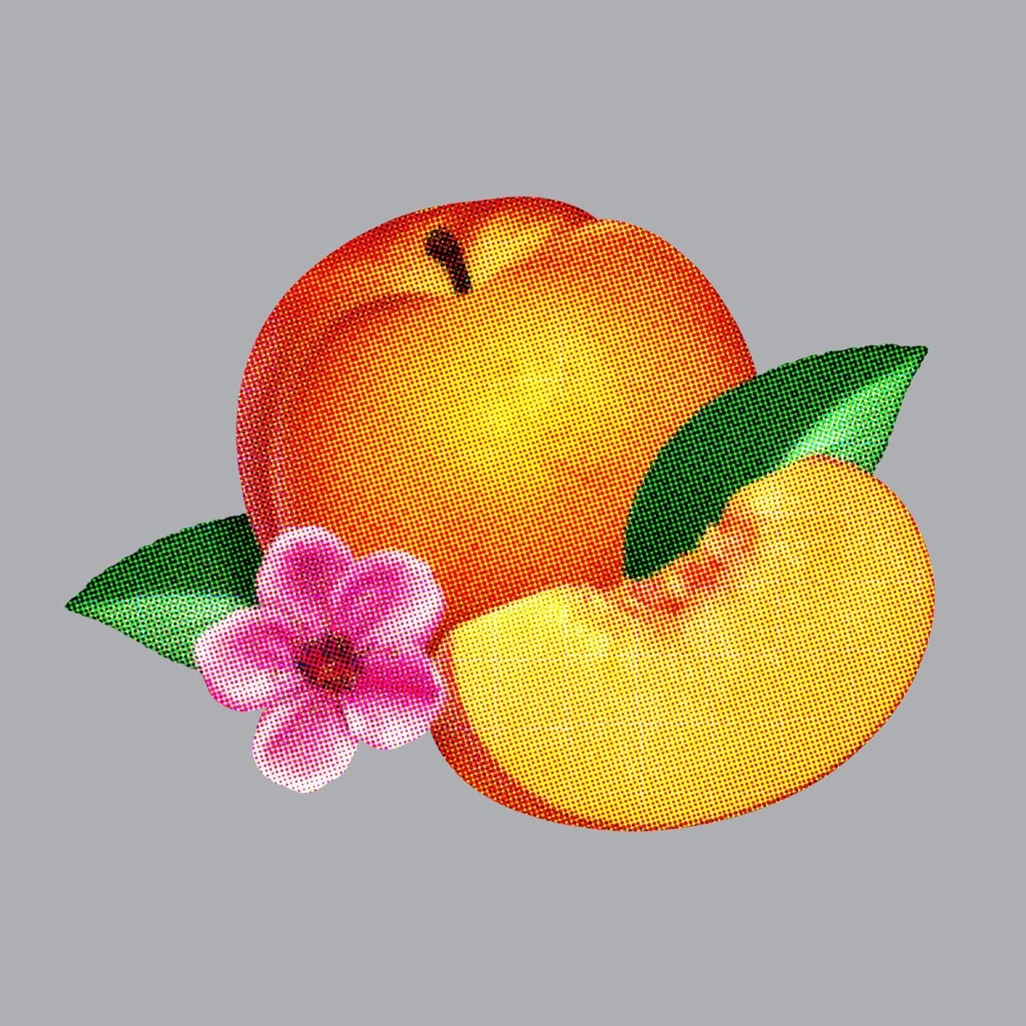 A CD jewel case featuring the Phoenix Bankrupt album cover with abstract colorful artwork.