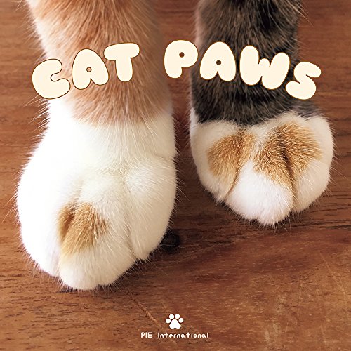Close-up of cat paws with the book title "Cat Paws" overlaid.