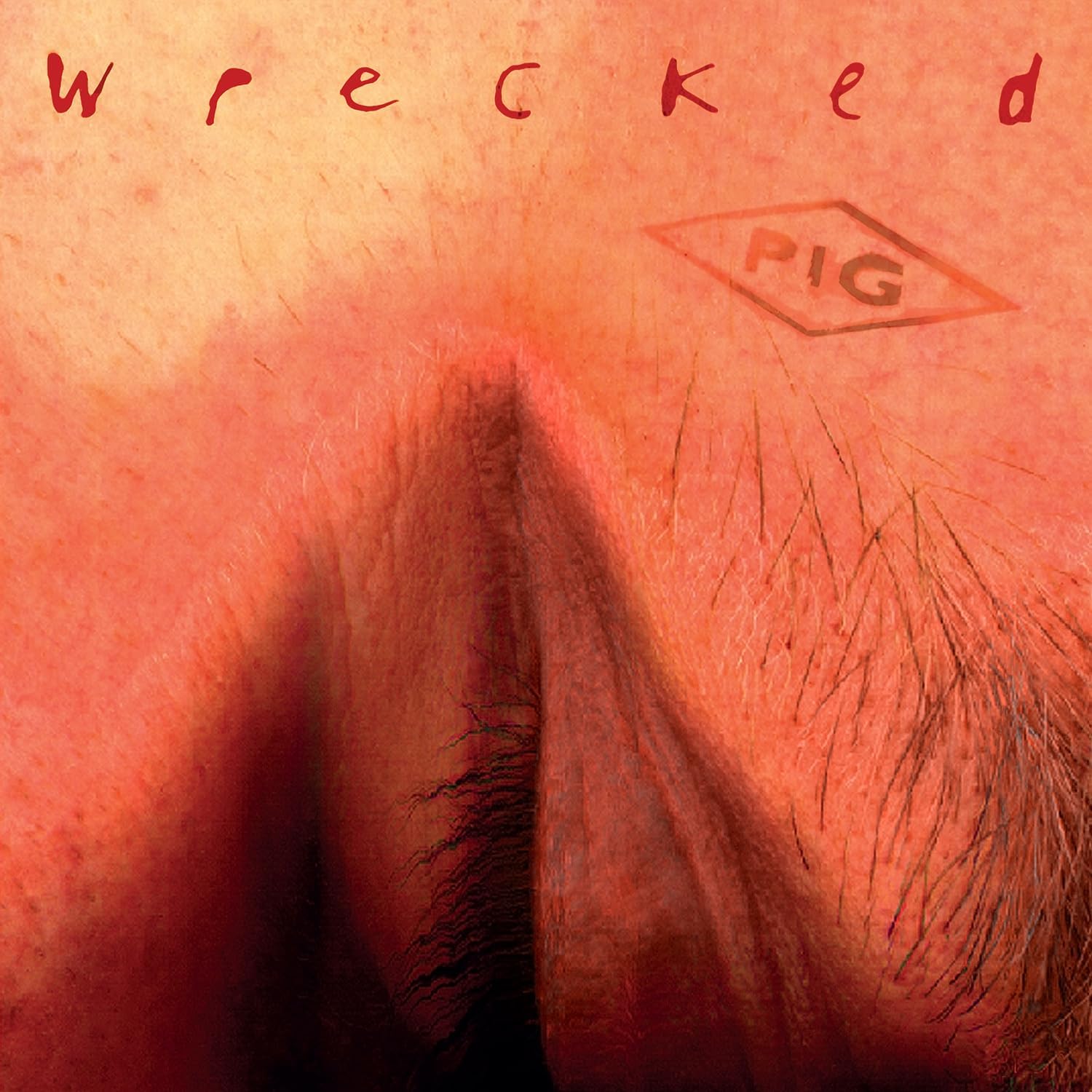 Close-up of skin with the word "Wrecked" and a pig illustration.