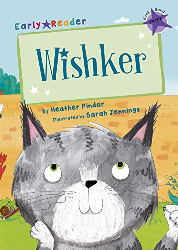 Book cover featuring a grey, illustrated cat with large green eyes.