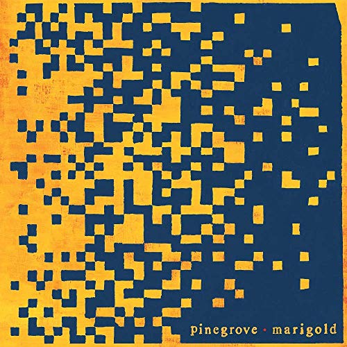Pinegrove's "Marigold" vinyl cover: abstract yellow and navy pixel pattern.