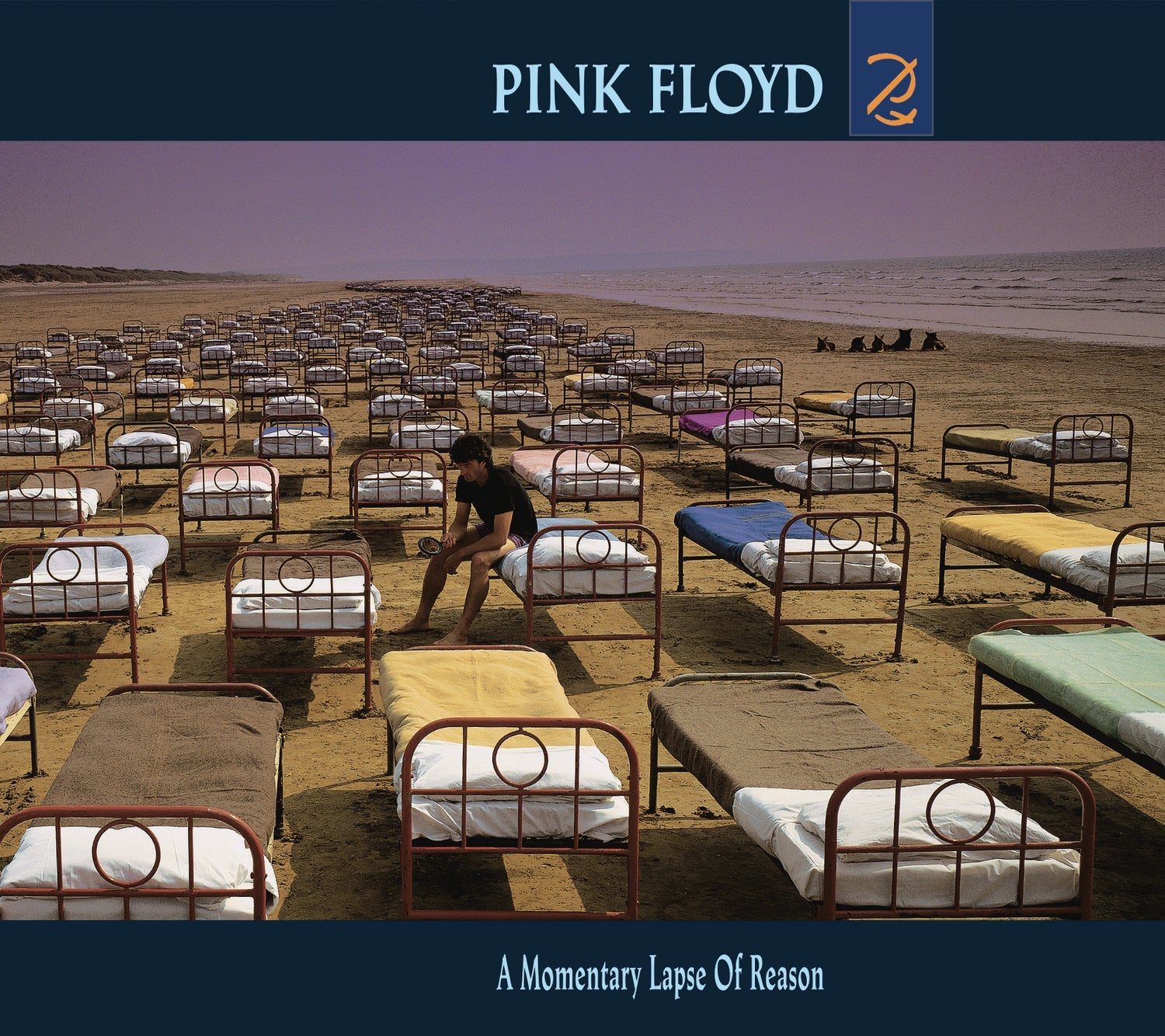 Pink Floyd album cover: beach scene with many beds and a figure.
