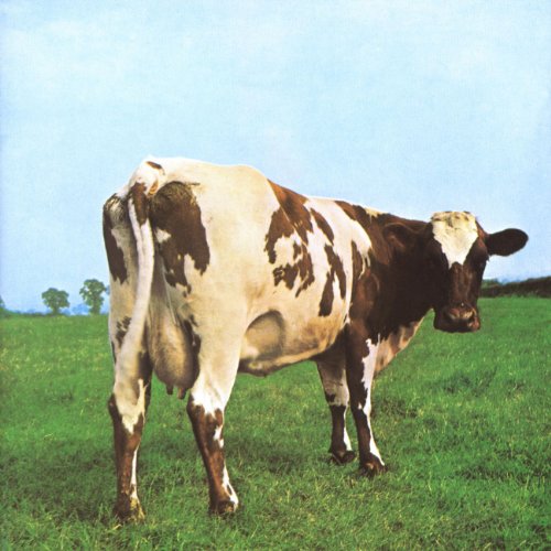"CD case cover featuring a cow standing in a green field under a blue sky."