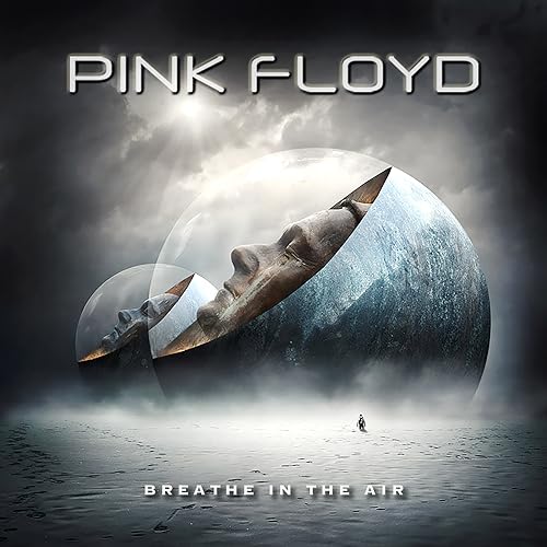 Pink Floyd album cover: a face in a bubble over water.