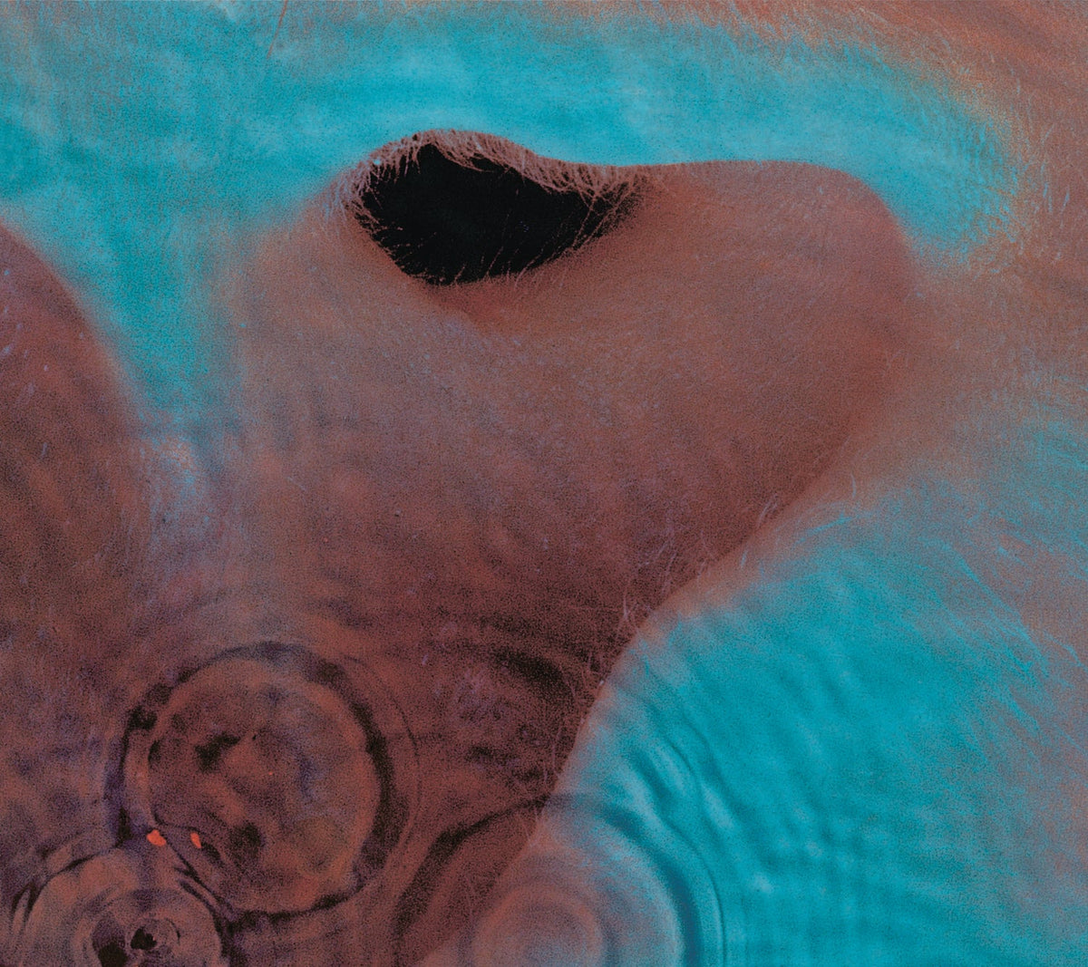 Abstract album cover with swirling blue and reddish-brown textures.