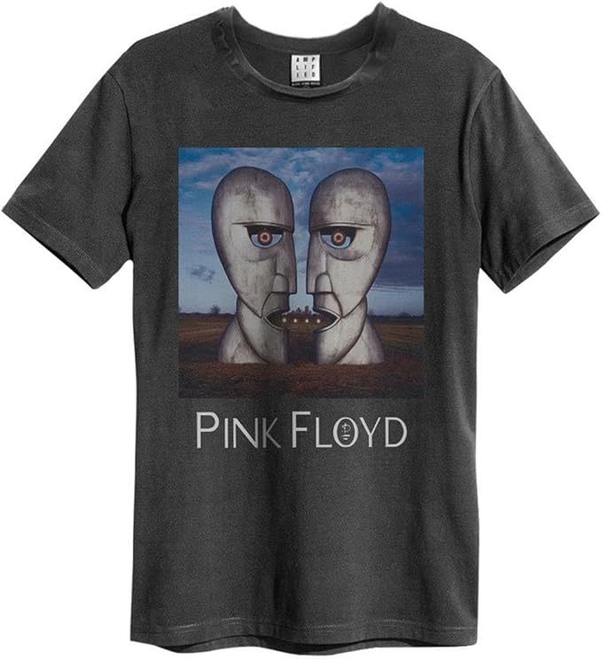 Charcoal t-shirt featuring Pink Floyd’s *The Division Bell* album artwork.