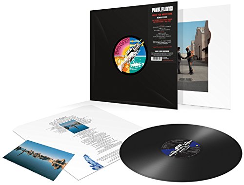 "Pink Floyd vinyl record and sleeve with inserts on a white background."