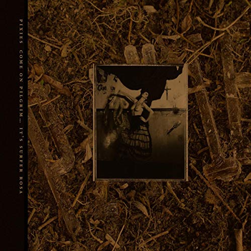 Pixies album cover: a framed black and white photo in a thorny background.