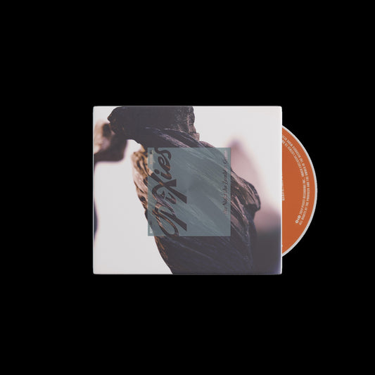 Pixies CD cover, featuring a blurry, reddish-brown image and text.