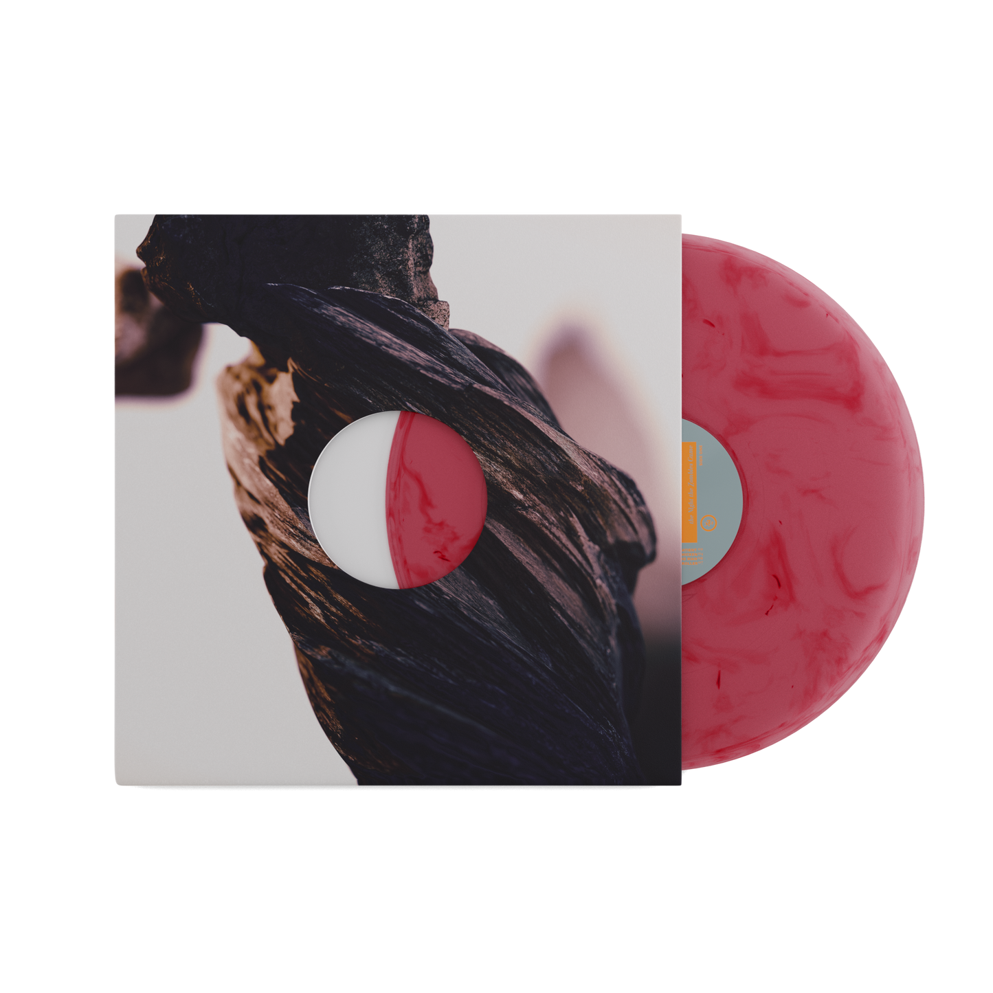 Pixies vinyl record with abstract tree bark cover and pink swirl disc.