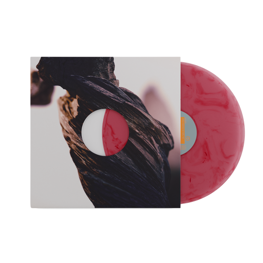 Pixies vinyl record with abstract tree bark cover and pink swirl disc.